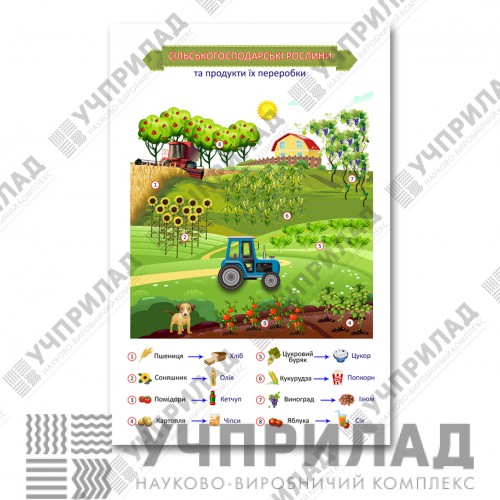 Плакат «Сільськогосподарські рослини та продукти їх переробки»