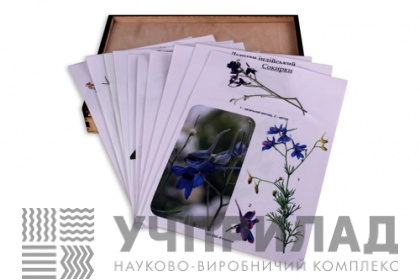 Гербарій «Отруйні рослини»
