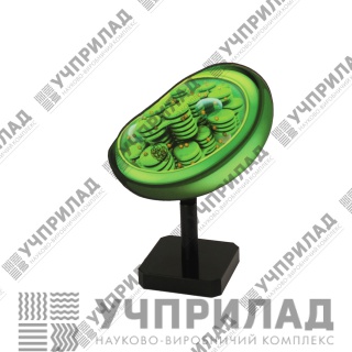 Модель "Хлоропласт"
