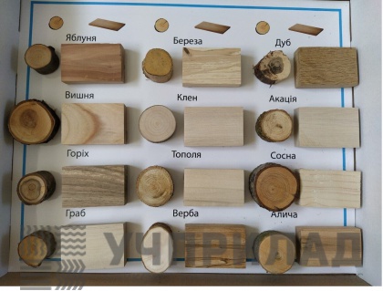 Колекція "Породи деревини"