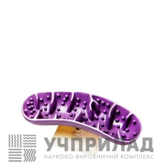 Модель "Мітохондрія"