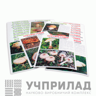 Колекція «Гриби»