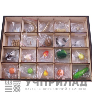 Колекція «Насіння і плоди»