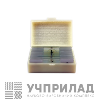 Великий набір мікропрепаратів "Ботаніка"